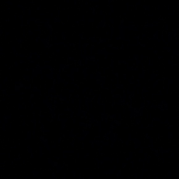 arichcloset